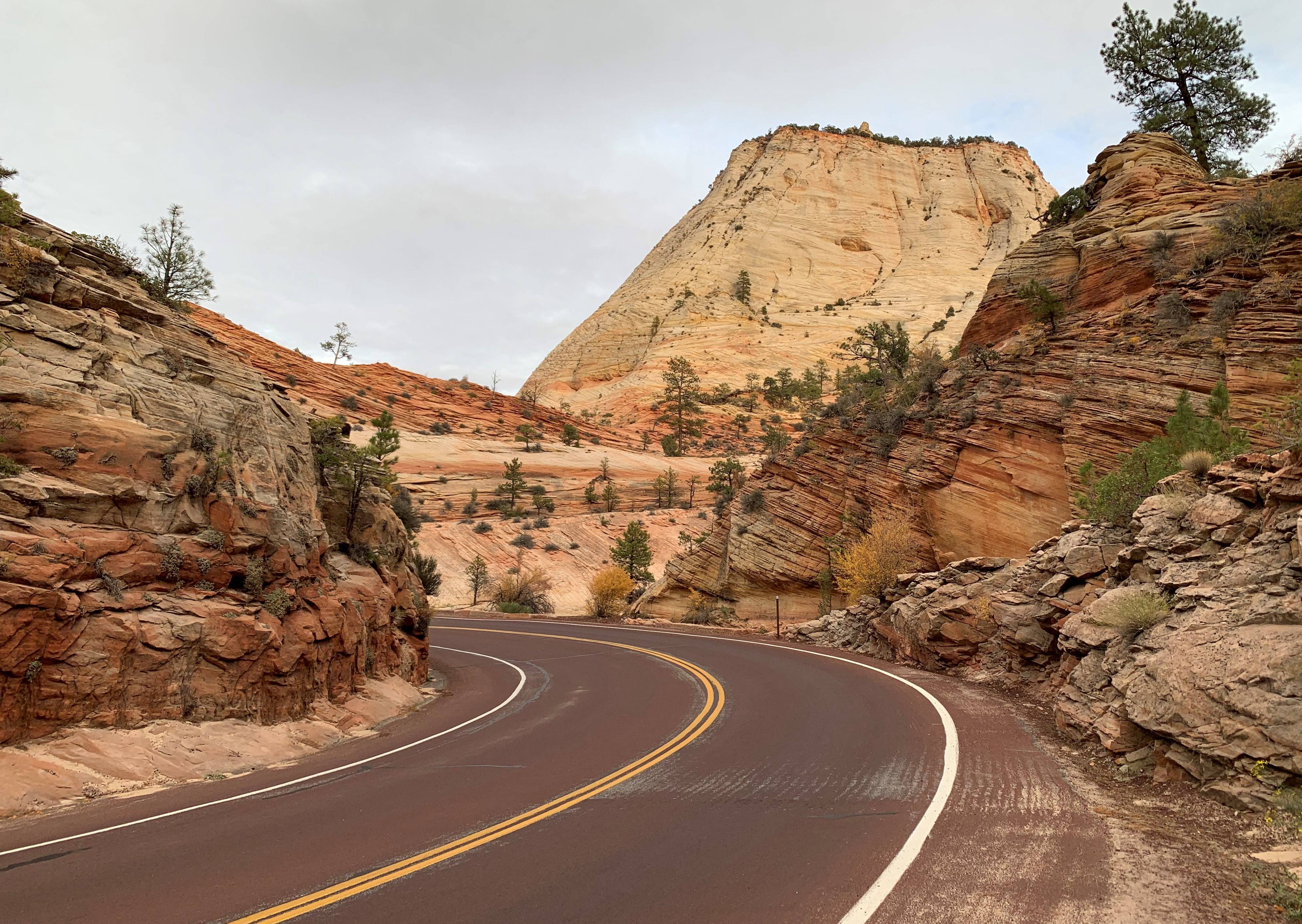 Zion NP